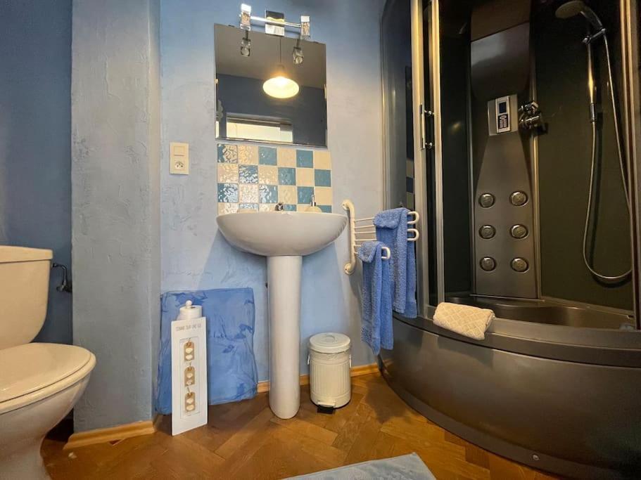 La Petite Chambre Bleue - Centre Historique-2 Pers-Non Accessible Au Personnes A Mobilite Reduite ケゼルスベール エクステリア 写真